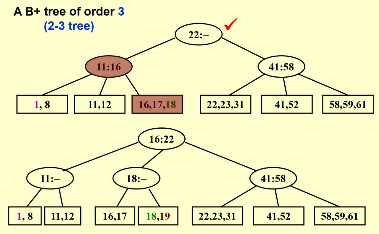 adsbp-1