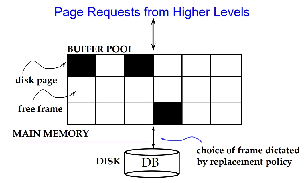 dbs-50